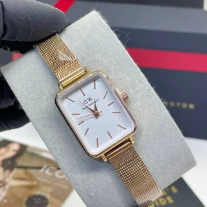 Montre DANIEL WELLINGTON  Bronze