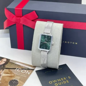Montre DANIEL WELLINGTON Argenté