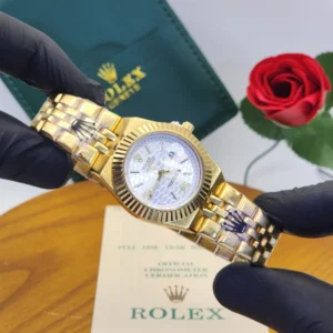 .                                           Montre Rolex Oyster Perpetual Land-Dweller